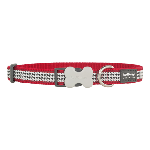 Dingo dog hot sale collar