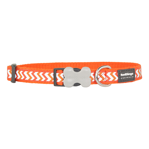 Dingo dog outlet collars