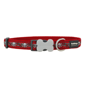 Dingo 2024 dog collar