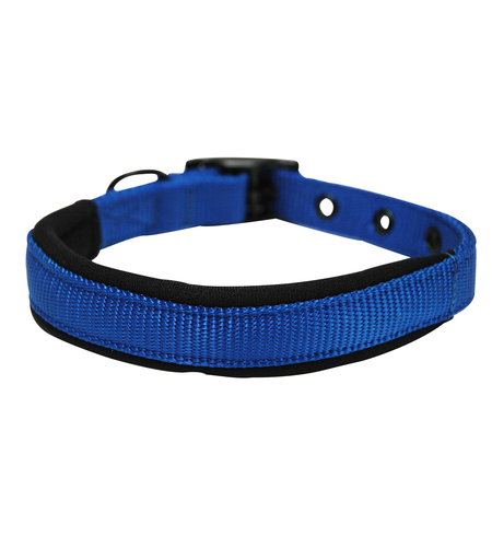 Yours Droolly Collar Foam Medium Blue