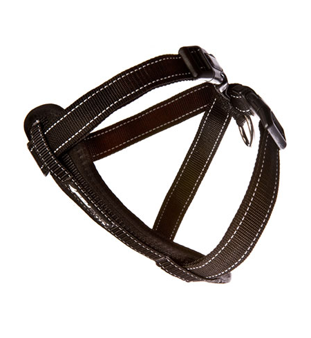 ED Harness CP XS Black   -H09XSBLK