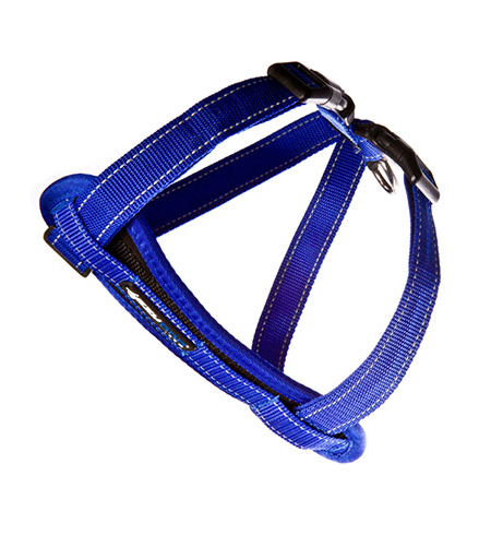 ED Harness CP S Blue   -H09SB