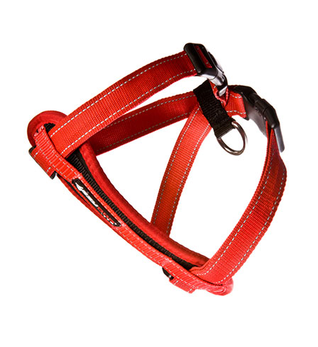 ED Harness CP M Red   -H09MR