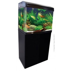 Fish tank best sale and stand combo