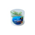 AC Plant Mini Tube of 4 No30-fish-The Pet Centre