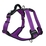 Huskimo Ultimate Harness -  Aurora (M)