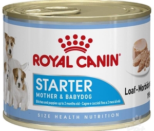 Royal canin hot sale baby mousse