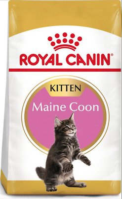 royal canin maine coon kitten 2kg