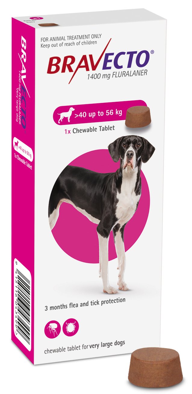 Bravecto Dog Chew 40 56kg Dog The Pet Centre Bravecto Flea Treatment